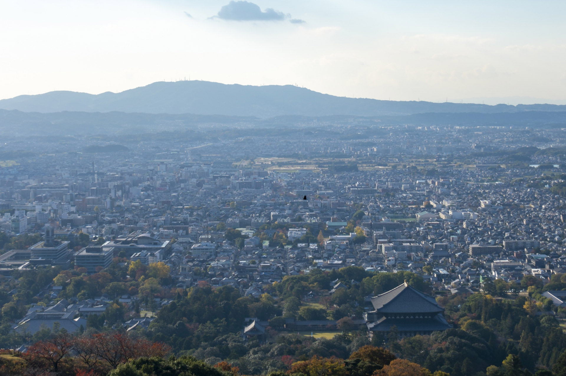 奈良県全域